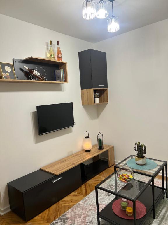 TV a/nebo společenská místnost v ubytování Aurora Apartmani Indjija