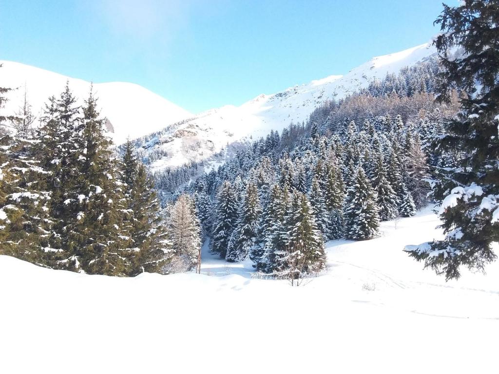 a snow covered mountain with trees in the foreground at Studio Duplex 8 personnes Vue à couper le souffle in Saint-Honoré