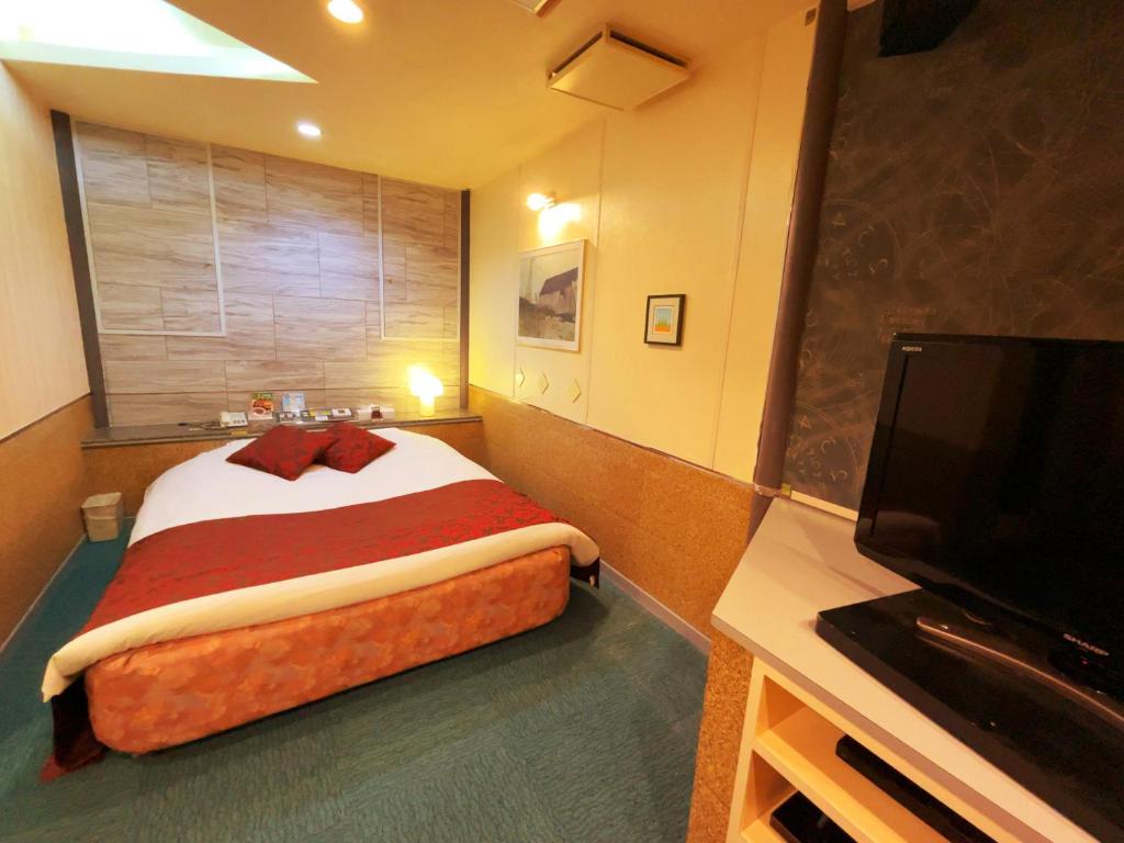 TV a/nebo společenská místnost v ubytování HOTEL K's GOMANGOKU adult only