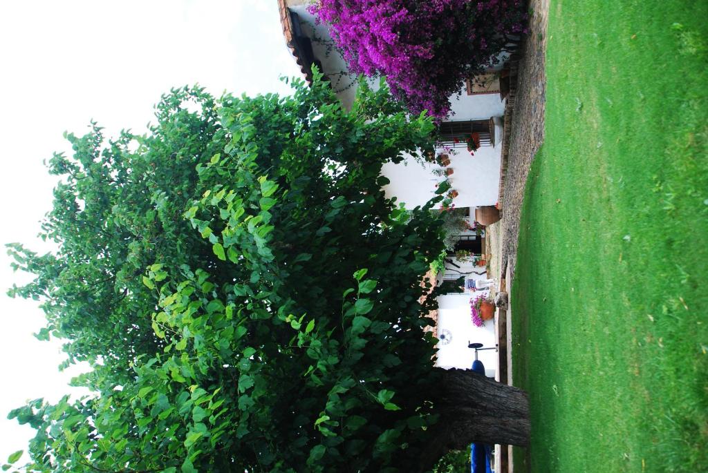 Jardín al aire libre en La Caldera Vieja