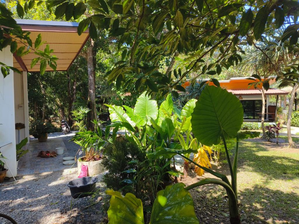 Zahrada ubytování Ingtara at Lanta