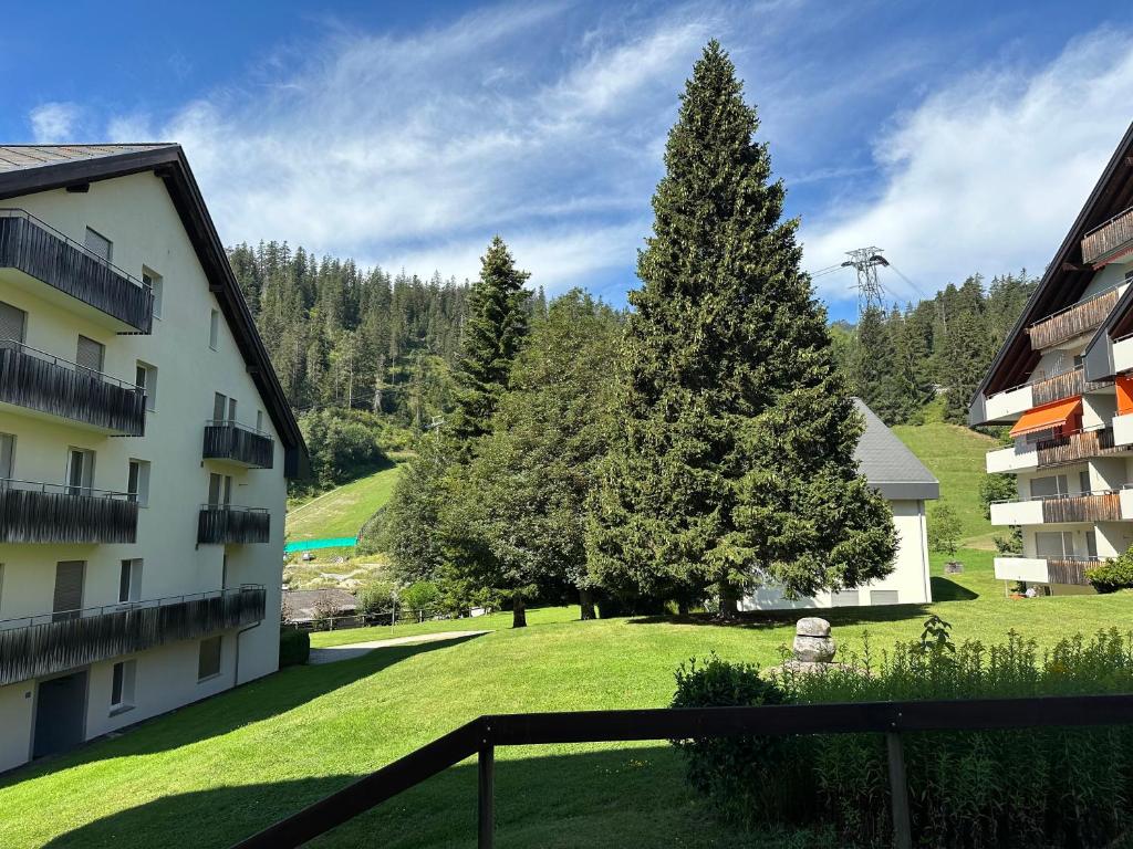 Příroda nedaleko apartmánu