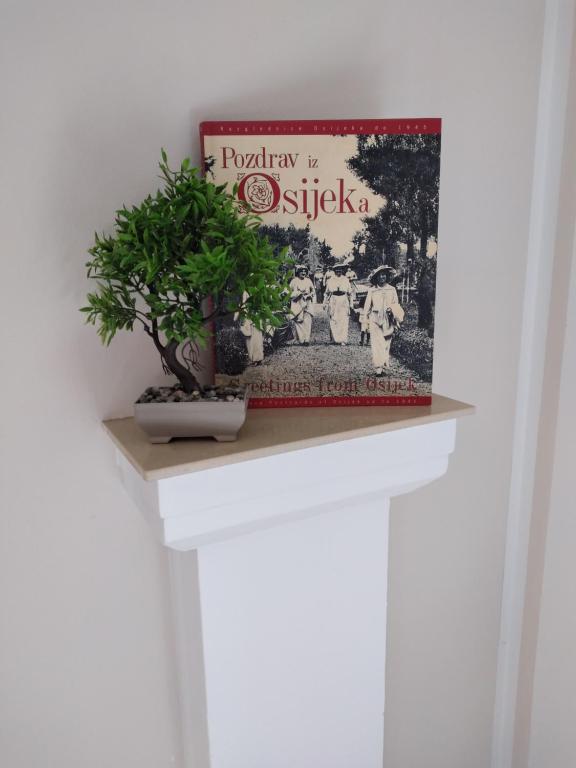 Apartments Košević - 15