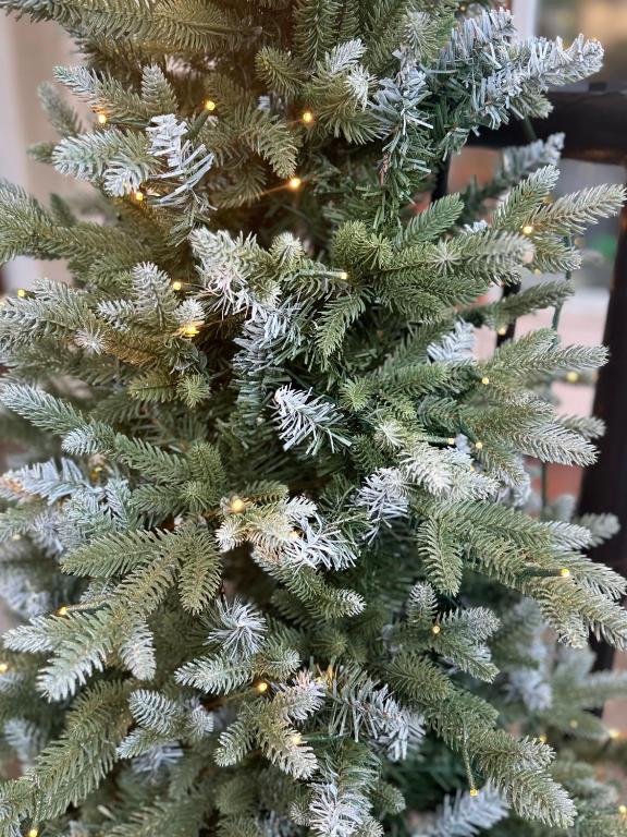 The Westlynne Hotel & Apartments - Resim 33