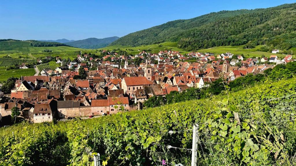 Domaine La Cour Des Nobles - Demeure, Maison et Appartements au coeur de Riquewihr – photo 26