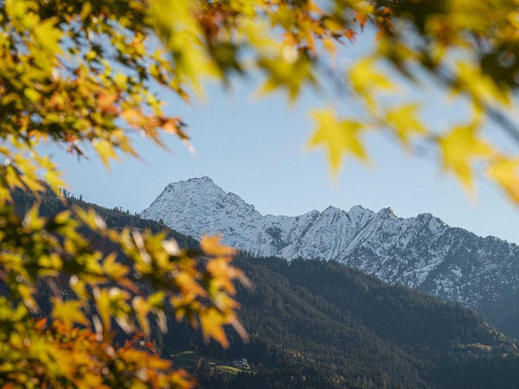 Apparthotel "Landhaus Veronika" - 19