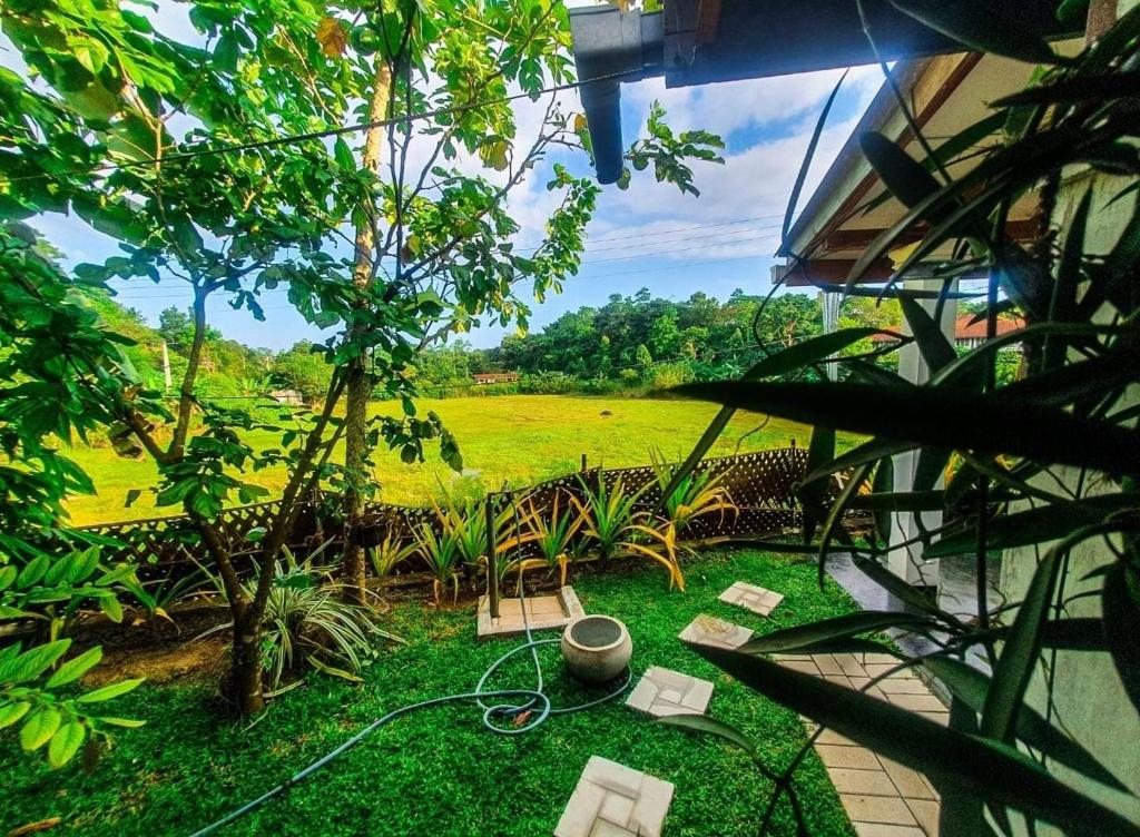 Zahrada ubytování Villa Kubura Mirissa