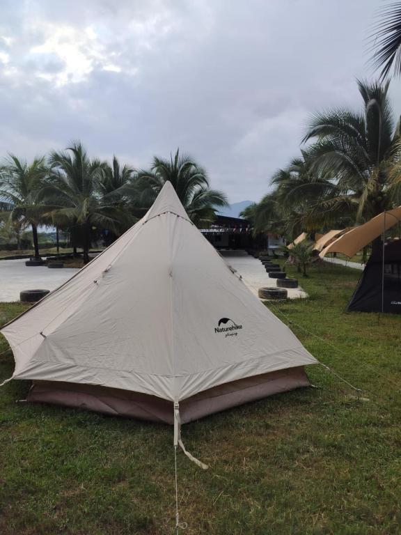 Příroda nedaleko luxury tent