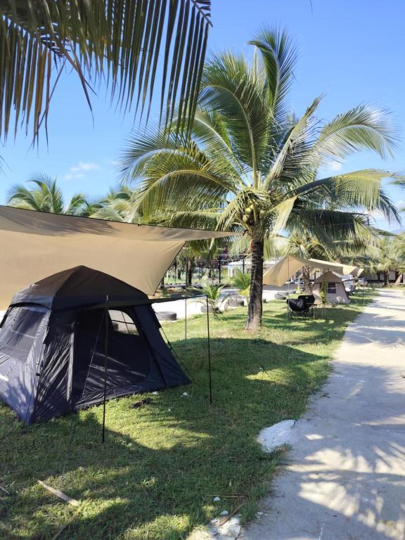 Příroda nedaleko luxury tent