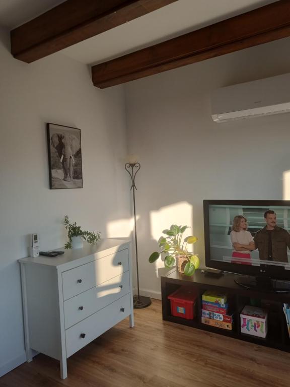 Televízia a/alebo spoločenská miestnosť v ubytovaní Zielony domek