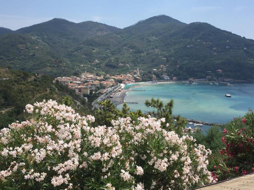 Naturlandskabet i nærheden af lejligheden