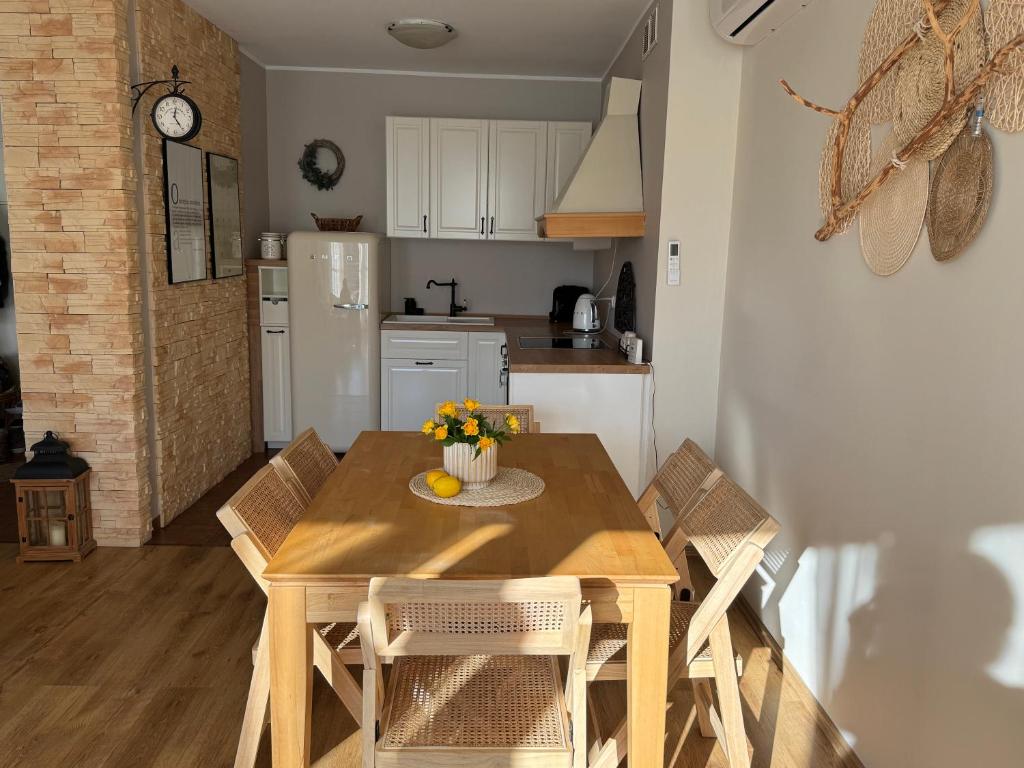 Kuchnia lub aneks kuchenny w obiekcie Apartament Zeta - Zeta Park