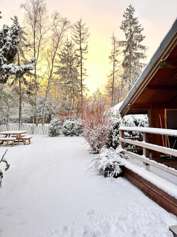 Chalet Four Seasons v zimě