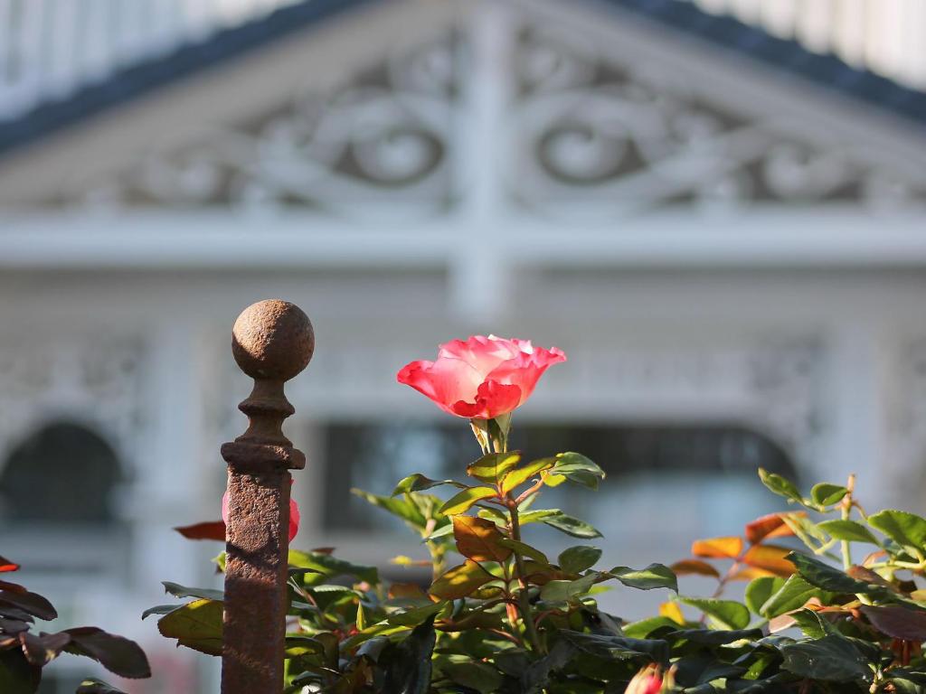 Zahrada ubytování Haus Midsommer