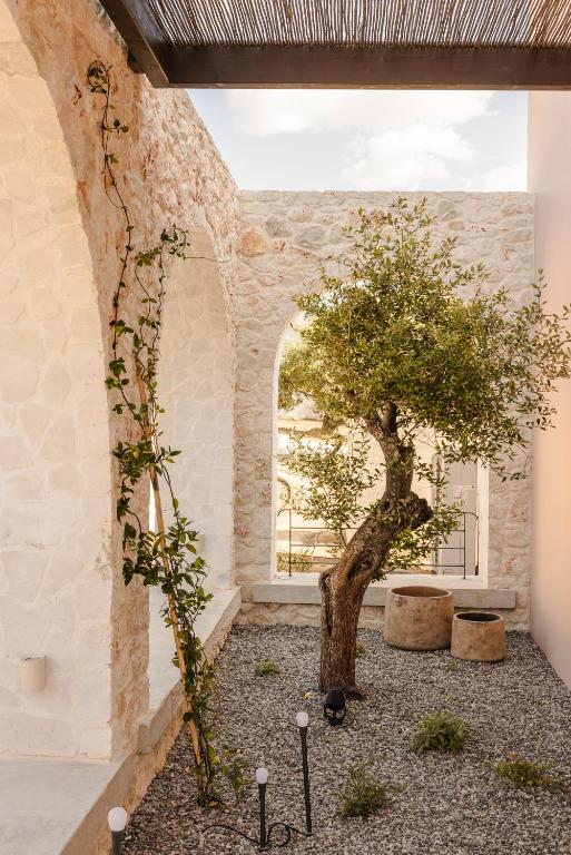 Zahrada ubytování Kerami Kefalonia
