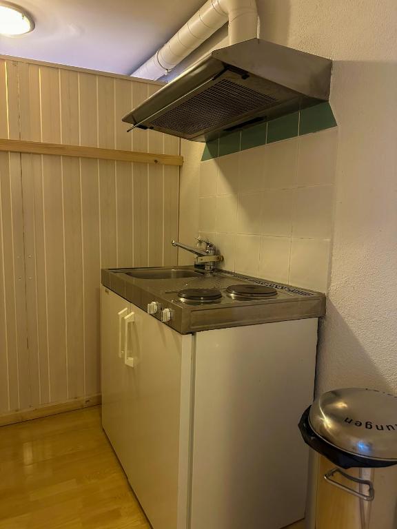 Kuchyň nebo kuchyňský kout v ubytování Nydeck