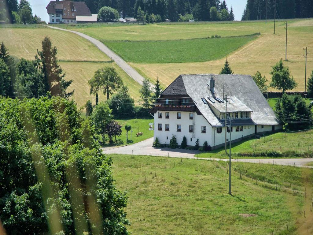 格蘭芬豪森的住宿－Gasthaus Pension Zum Löwen，绿色田野中的白色大房子