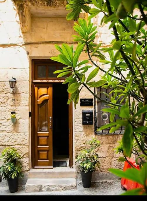a door to a building with two potted plants in front at Sliema historic townhouse in Sliema