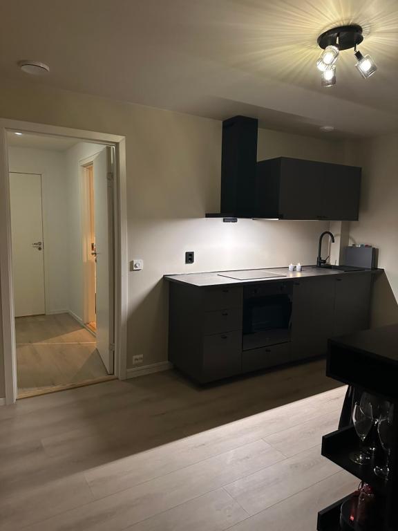 トロムソにあるNorthern Lights Studioの黒いキャビネット付きのキッチン、部屋へのドア