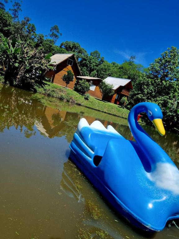 a blue plastic swan floating in the water at Hotel, Pousada e camping Recanto Nativo Caibi in Palmitos