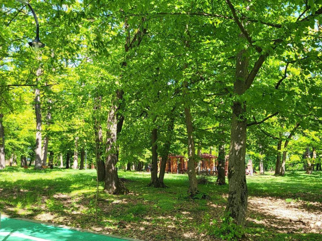 Zahrada ubytování Hotel Elyon Dej