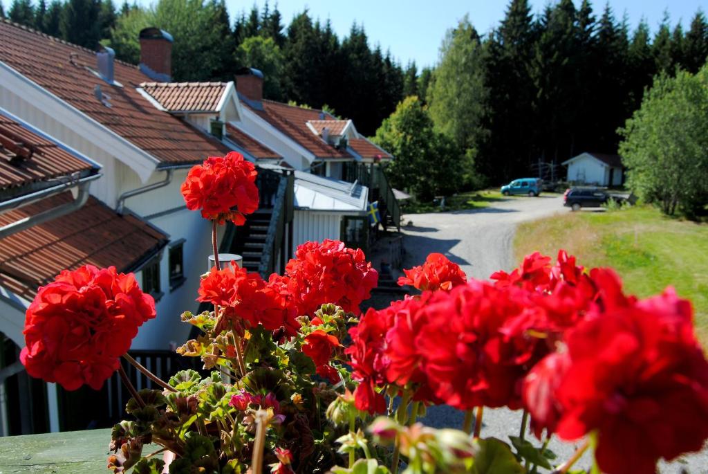Zahrada ubytování Tingvall B&B Eco-Lodge