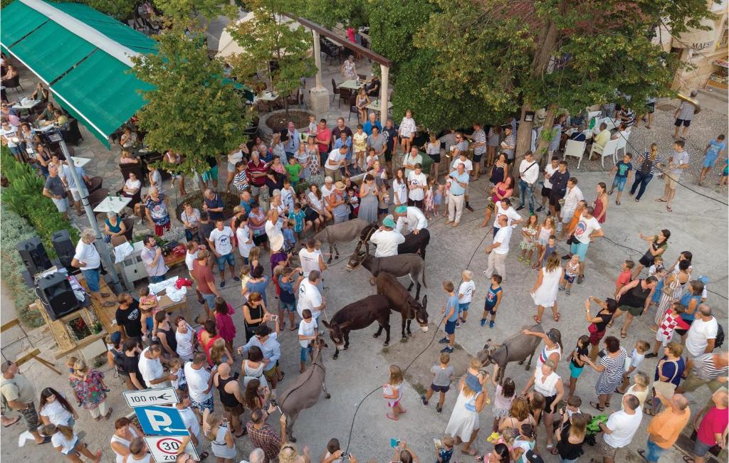 Goście zatrzymujący się w obiekcie Apartment Koludrt Bb Croatia