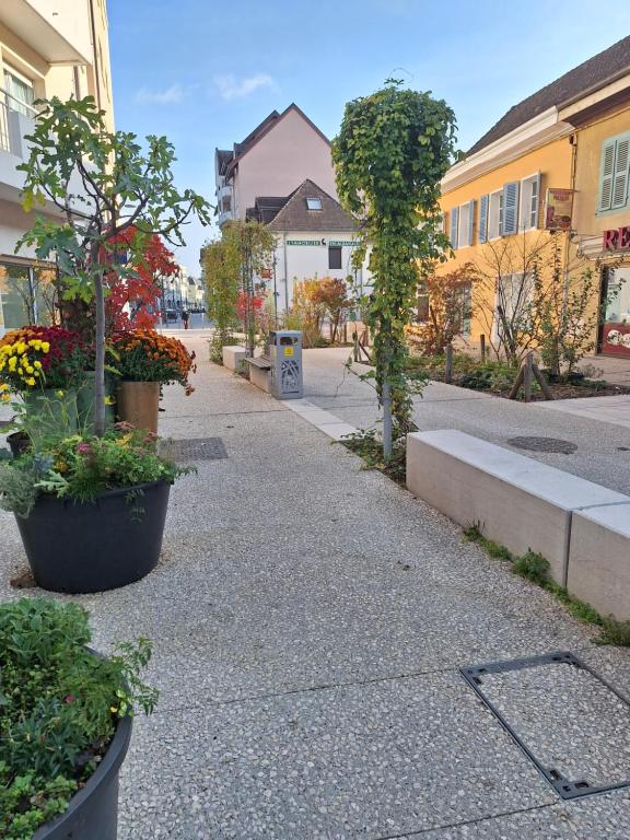 Okolí apartmánu