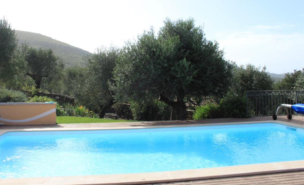 a large blue swimming pool in a yard with trees at Quinta de São João in Poios