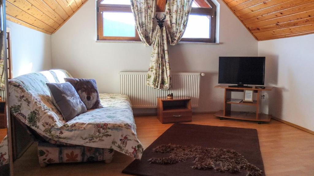 TV a/nebo společenská místnost v ubytování Camere de inchiriat Cascada