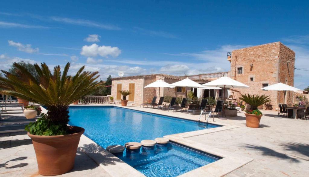 une piscine avec des palmiers et des parasols dans un bâtiment dans l'établissement S´Hort de Can Carrió, à Ses Salines