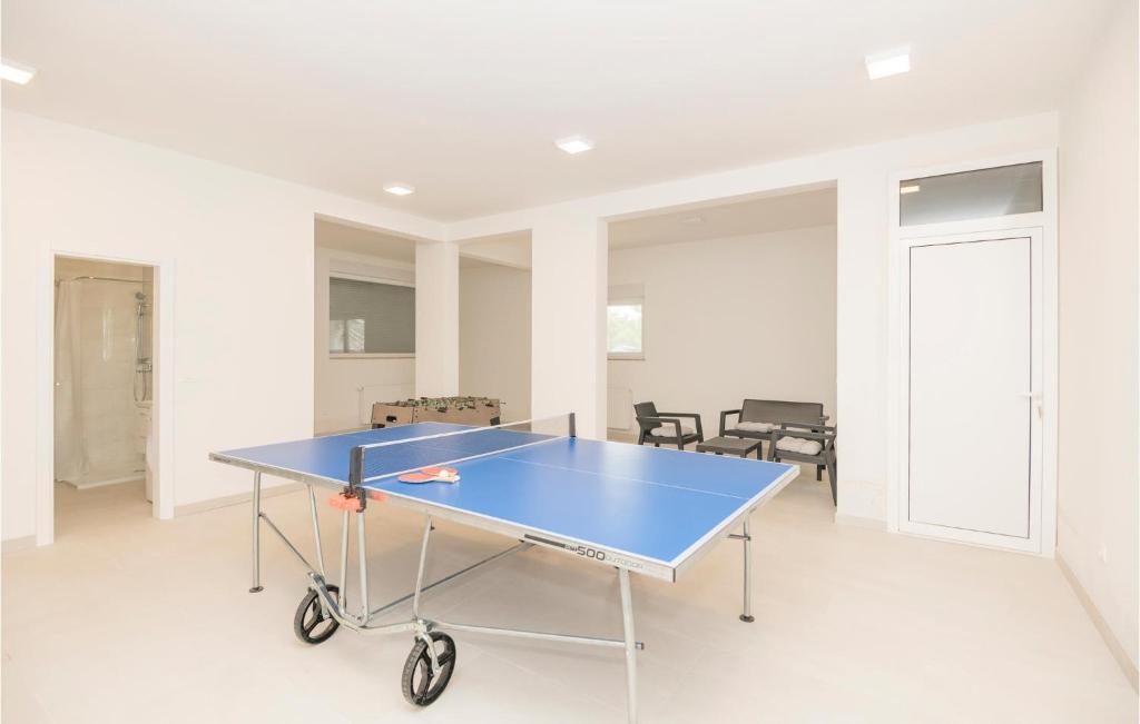 Stolný tenis v ubytovaní Stunning Home In Ivanbegovina With Wifi alebo v jeho okolí