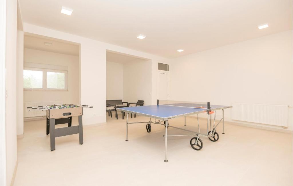 Stolný tenis v ubytovaní Stunning Home In Ivanbegovina With Wifi alebo v jeho okolí