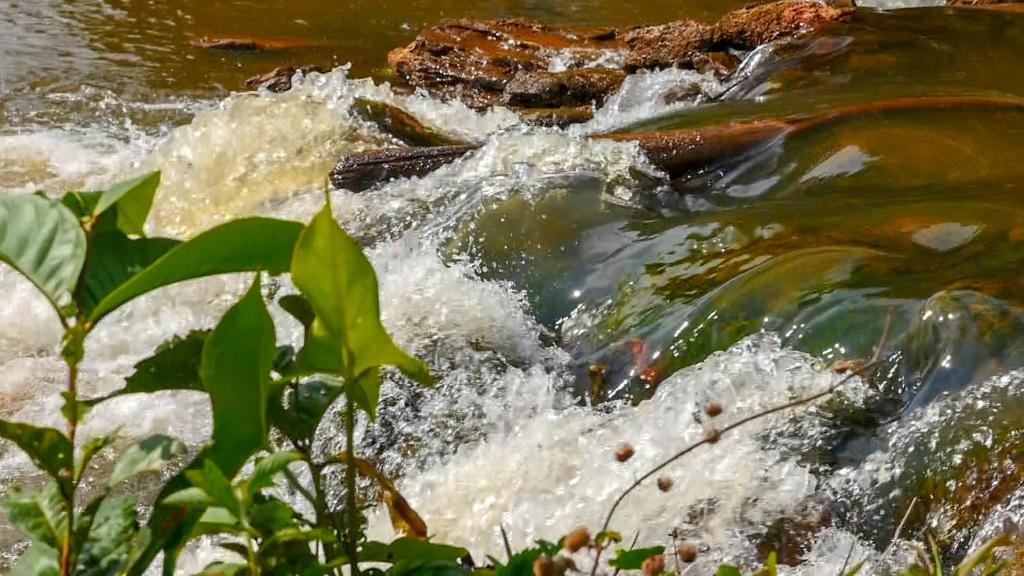 Itaúba Hotel Restaurante Eco-resort