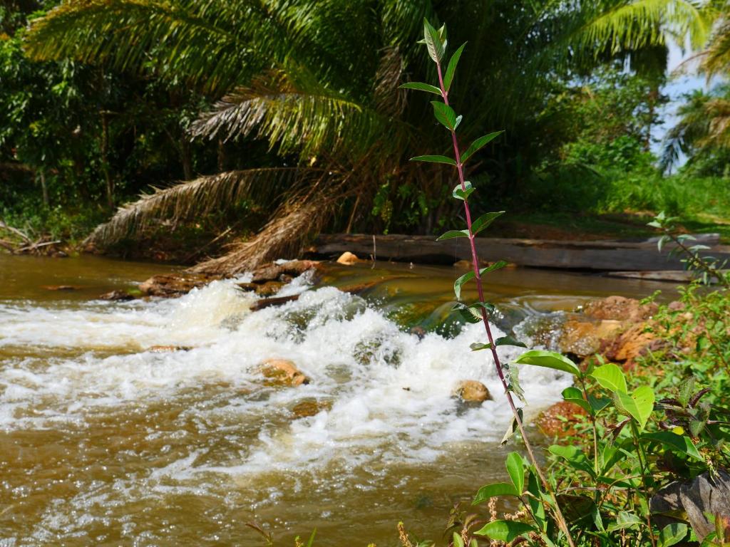Itaúba Hotel Restaurante Eco-resort