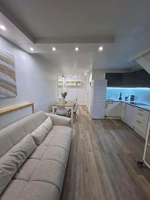 Il comprend un grand salon avec un canapé et une cuisine. dans l'établissement Confort en centre ville à moins de 15 min d Orly, à Longjumeau