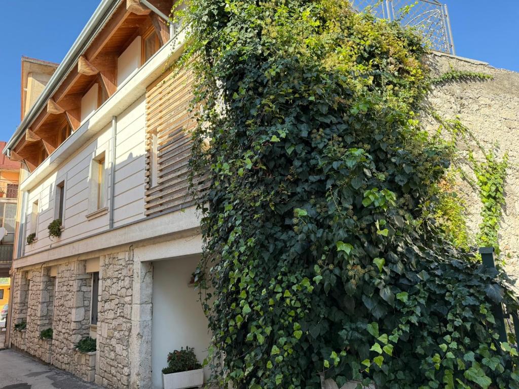 a building with a large ivy growing on it at Nel cuore di Castel di Sangro La Casa di Cristina in Castel di Sangro