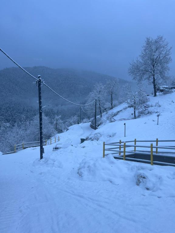 Πασιθεα mountain rooms v zimě