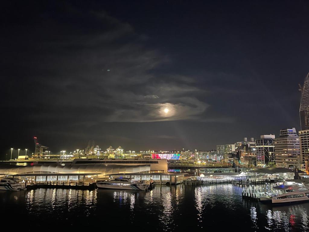 Penthouse apartment with stunning Harbour views - Resim 18