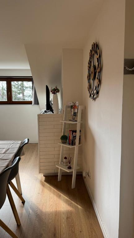 Knihovna v apartmánu