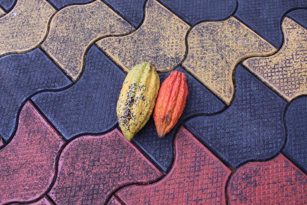 Fotografie z fotogalerie ubytování Casa Grande Homestay Anaviratty Munnar v destinaci Anaviratty