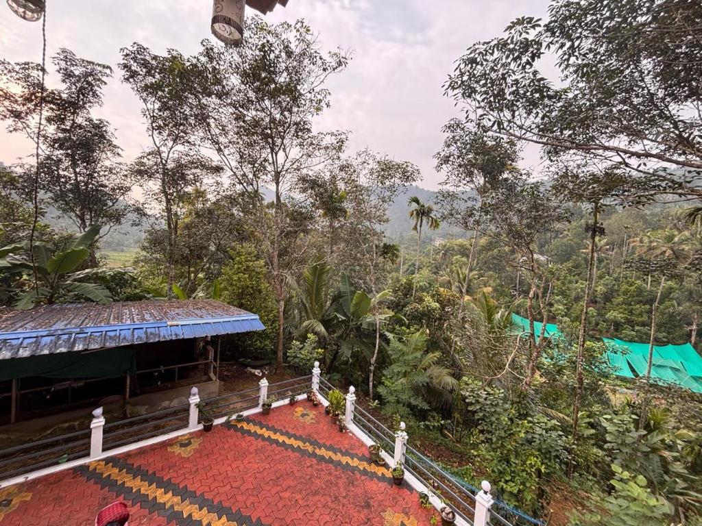 Zahrada ubytování Casa Grande Homestay Anaviratty Munnar