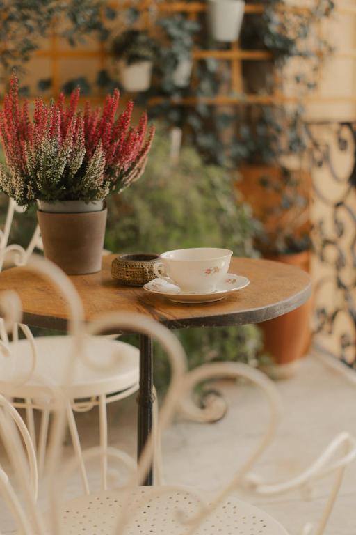 Fotografie z fotogalerie ubytování Casa Ramé v Janově