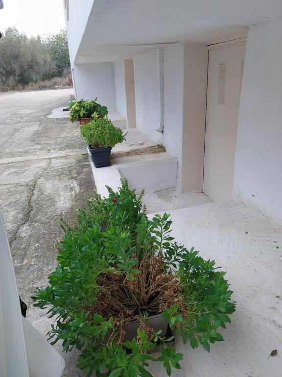 Fotografie z fotogalerie ubytování Nav Apart, Salamina v destinaci Paloúkia