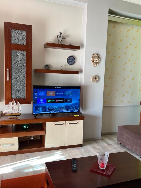 TV a/nebo společenská místnost v ubytování Downtown Apartment
