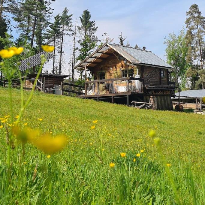 a log cabin on a hill with a field of grass at Holzhütte allein am Waldrand in Saldenburg