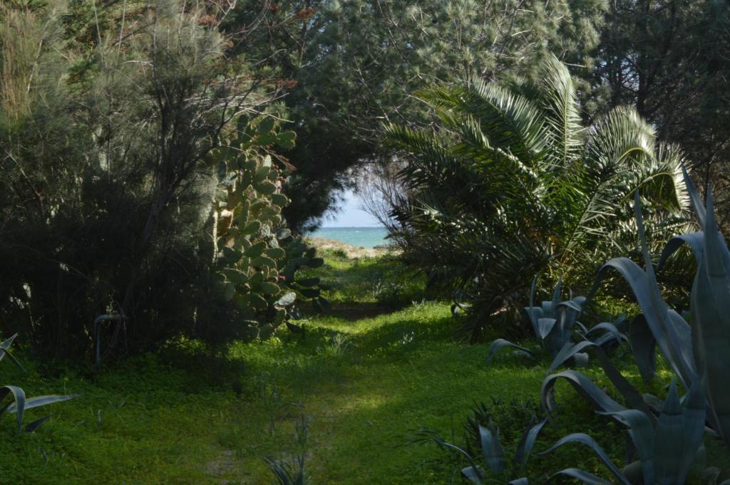 un jardín con vistas al océano a través de un arco en Bedda Casa Al Mare en Agnone Bagni