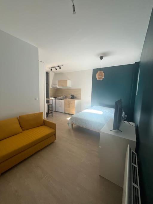 un salon avec un canapé et un lit dans l'établissement La parenthèse ensoleillée et son balcon, à Vichy