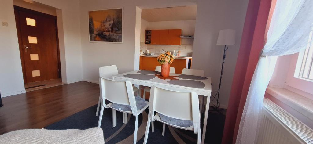 Kuchyň nebo kuchyňský kout v ubytování Apartment Nina-bazen-klima-parking