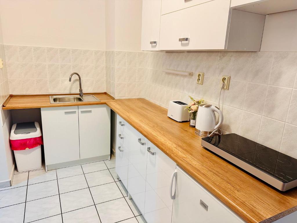 Kuchnia lub aneks kuchenny w obiekcie Pension Lenka 2